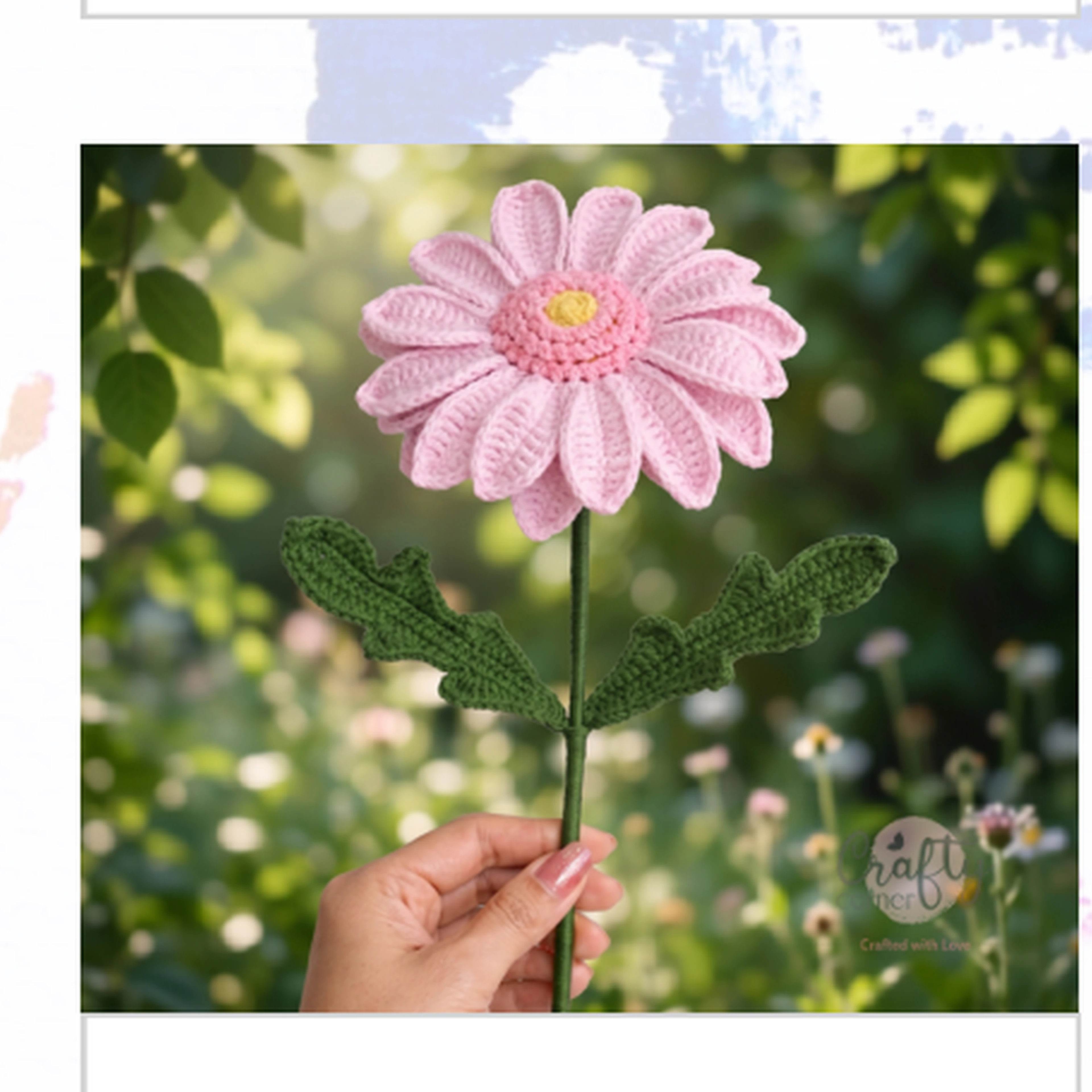 Garbera Light Pink